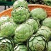 КУПИТЬ СЕМЕНА АРТИШОК ЗЕЛЕНЫЙ ГЛОБУС