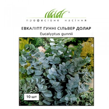 СЕМЕНА ЭВКАЛИПТ ГУННИ СИЛЬВЕР ДОЛЛАР, 10 ШТ ПРОФ. СЕМЕНА 