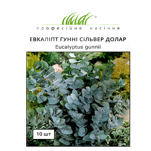 СЕМЕНА ЭВКАЛИПТ ГУННИ СИЛЬВЕР ДОЛЛАР, 10 ШТ ПРОФ. СЕМЕНА 