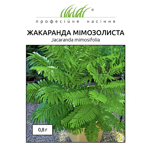 СЕМЕНА ЖАКАРАНДА МИМОЗОЛИСТНАЯ, 0,8 Г ПРОФ СЕМЕНА