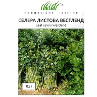 СЕМЕНА СЕЛЬДЕРЕЙ ЛИСТОВОЙ ВЕСТЛЕНД, 0,5 Г ПРОФ. СЕМЕНА