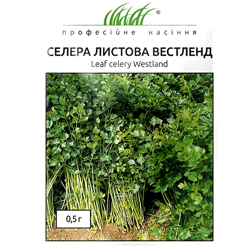 СЕМЕНА СЕЛЬДЕРЕЙ ЛИСТОВОЙ ВЕСТЛЕНД, 0,5 Г ПРОФ. СЕМЕНА