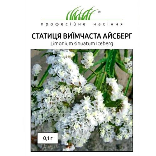 СЕМЕНА СТАТИЦА "АЙСБЕРГ", 0,1 Г ПРОФ СЕМЕНА