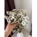 СЕМЕНА СТАТИЦА "АЙСБЕРГ", 0,1 Г ПРОФ СЕМЕНА