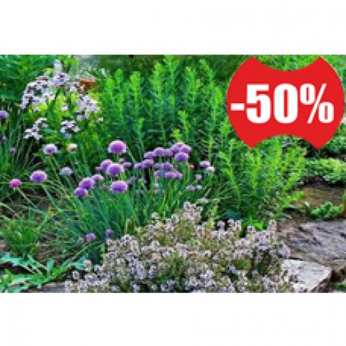 Цена на 50% ниже Цена на 50% ниже