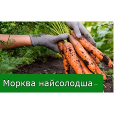 Щоб морква була солодка, потрібно підживити її у серпні! Щоб морква була солодка, потрібно підживити її у серпні!