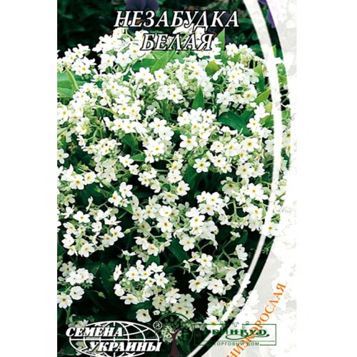 СЕМЕНА НЕЗАБУДКА БЕЛАЯ, 0,1 Г