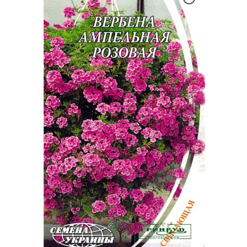 СЕМЕНА ВЕРБЕНА АМПЕЛЬНАЯ РОЗОВАЯ, 0,1 Г