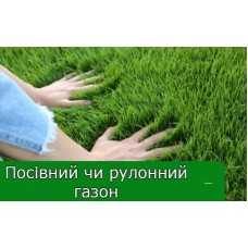 Плюси та мінуси вирощування рулонного на посівного газонів Плюси та мінуси вирощування рулонного на посівного газонів