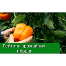 Рейтинг врожайний сортів перця