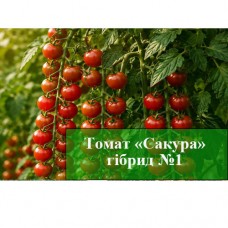 Семена томата "Сакура" отличный выбор для богатого урожая томатов Семена томата "Сакура" отличный выбор для богатого урожая томатов