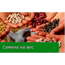 Семена на вес овощей в магазине Гринвуд Семена на вес овощей в магазине Гринвуд
