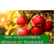 Чем опрыскивать яблоню от болезней осенью? Чем опрыскивать яблоню от болезней осенью?