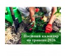 Травень: Велике переселення на грядки та садовий фітнес