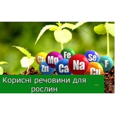 Які речовини потрібні рослинам? Які речовини потрібні рослинам?