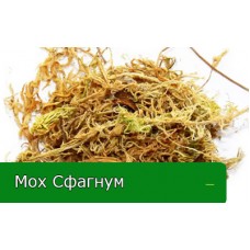 Користь від Моху Сфагнум Користь від Моху Сфагнум