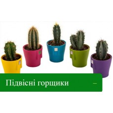В наявності різнокольорові підвісні горщики В наявності різнокольорові підвісні горщики