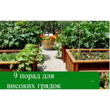 9 Порад для високих грядок 9 Порад для високих грядок