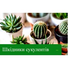 Профілактика хвороб та шкідників сукулентів Профілактика хвороб та шкідників сукулентів