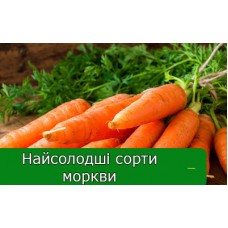 Найсолодші сорти моркви Найсолодші сорти моркви
