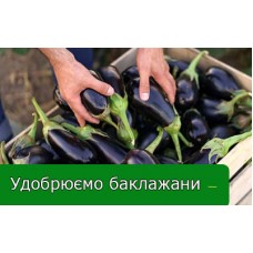 Удобрюємо баклажани Удобрюємо баклажани