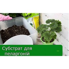 Субстрат для пеларгоній Субстрат для пеларгоній