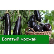 Богатый урожай баклажанов - легко!