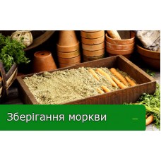 Зберігання моркви Зберігання моркви