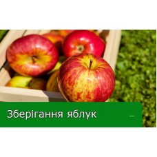 Хитрощі зберігання яблук